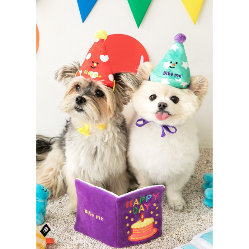 BIRTHDAY PARTY HATS (SET OF 3)