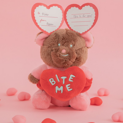 LOVE BEAR NOSEWORK TOY