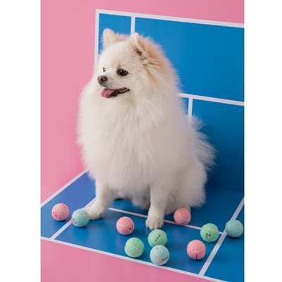 MINI TENNIS BALLS
