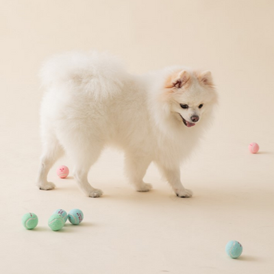 MINI TENNIS BALLS