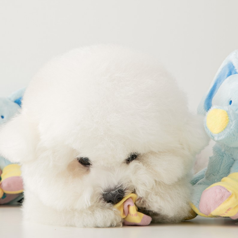 SOCKS ELEPHANT TOY