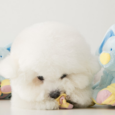SOCKS ELEPHANT TOY