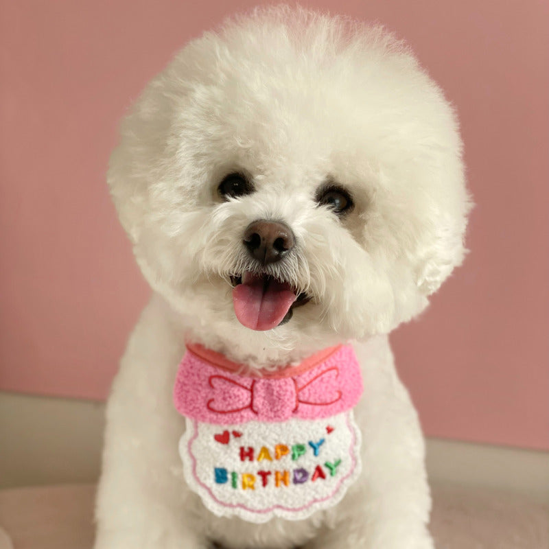 HAPPY BIRTHDAY BIB / PINK