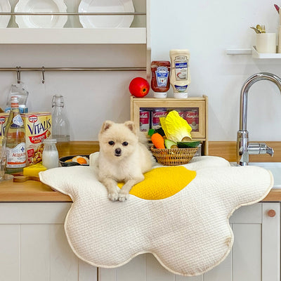 SUNNY SIDE UP EGG CUSHION