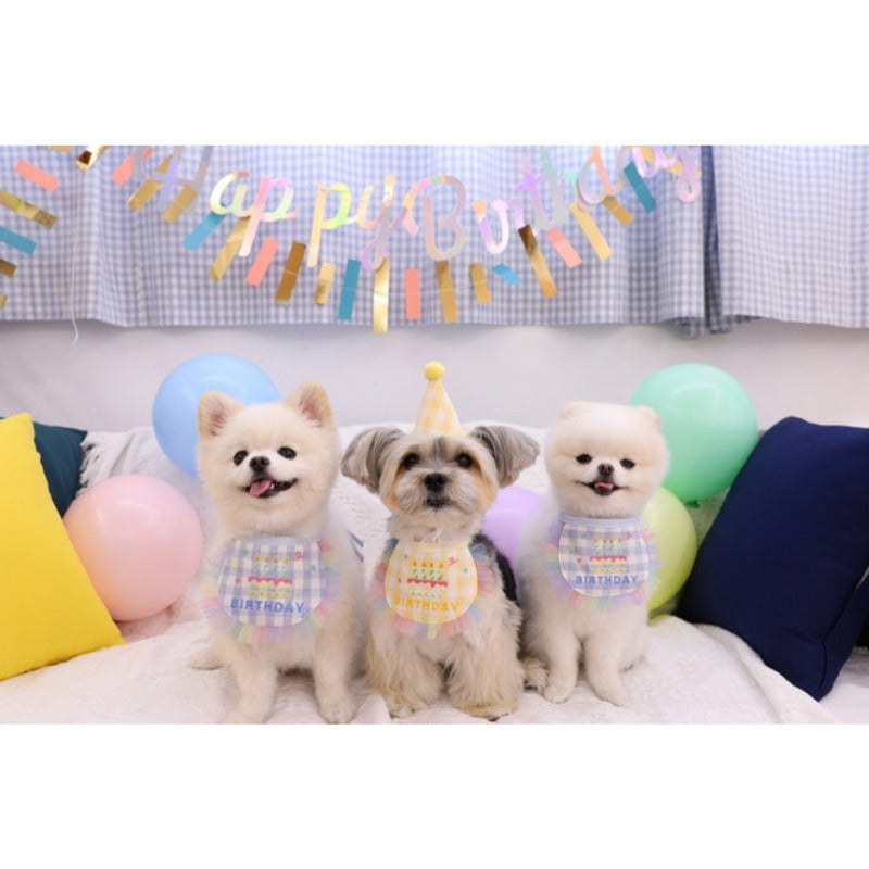 TWINKLE BIRTHDAY SET / YELLOW