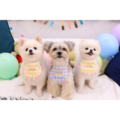 TWINKLE BIRTHDAY SET / YELLOW