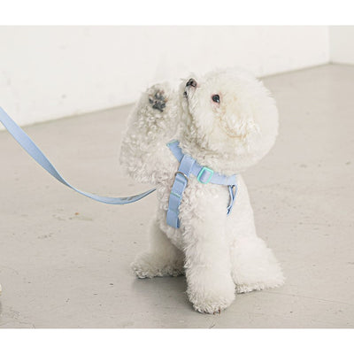 CANDY CRAYON LEASH / LIGHT BLUE