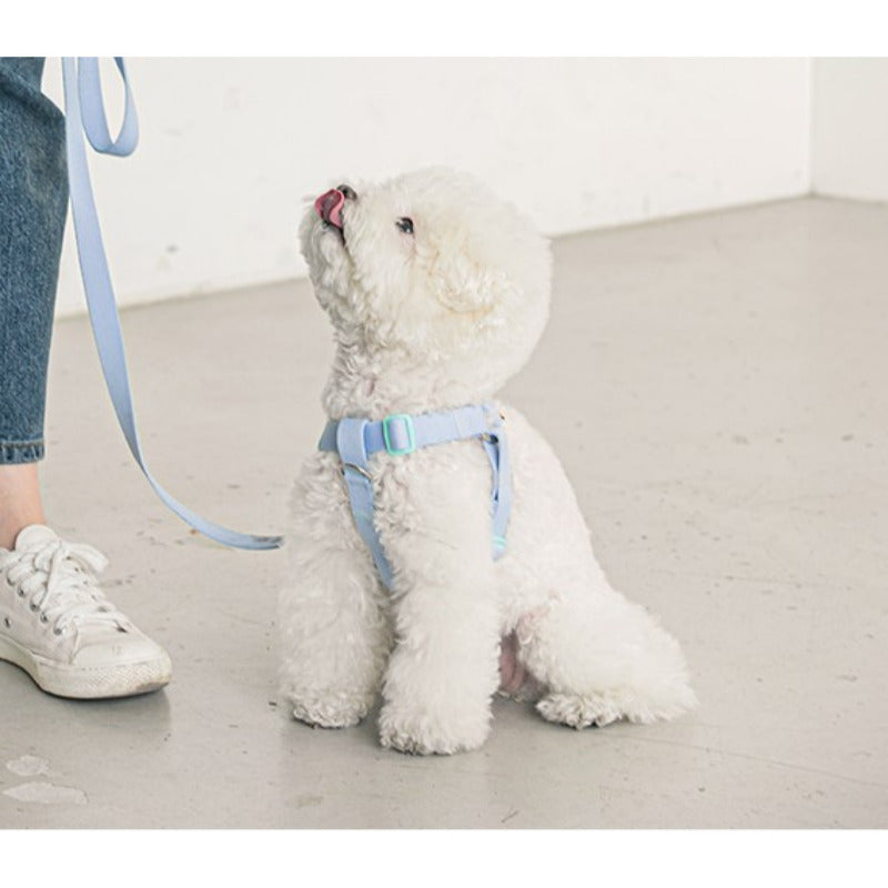 CANDY CRAYON LEASH / LIGHT BLUE