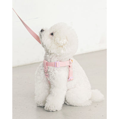 CANDY CRAYON HARNESS / LIGHT PINK