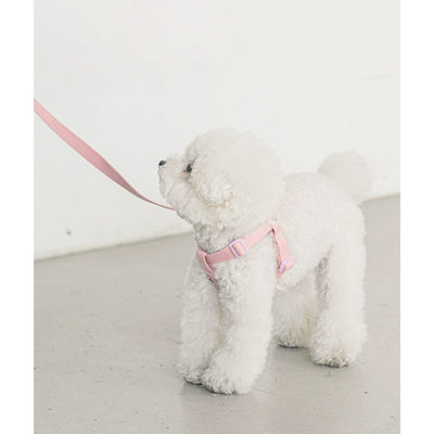 CANDY CRAYON LEASH / LIGHT PINK