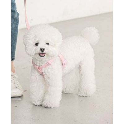 CANDY CRAYON HARNESS / LIGHT PINK