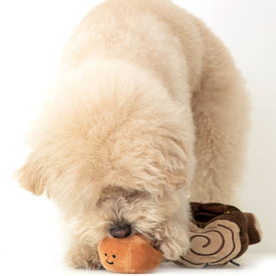 ACORN IN A LOG