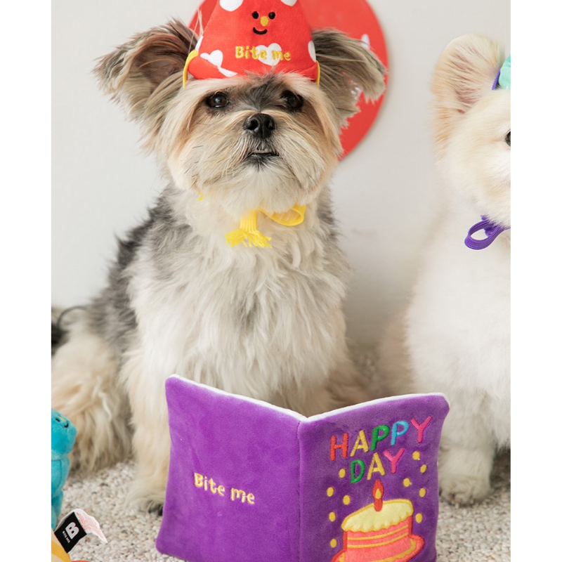 HAPPY BIRTHDAY CARD