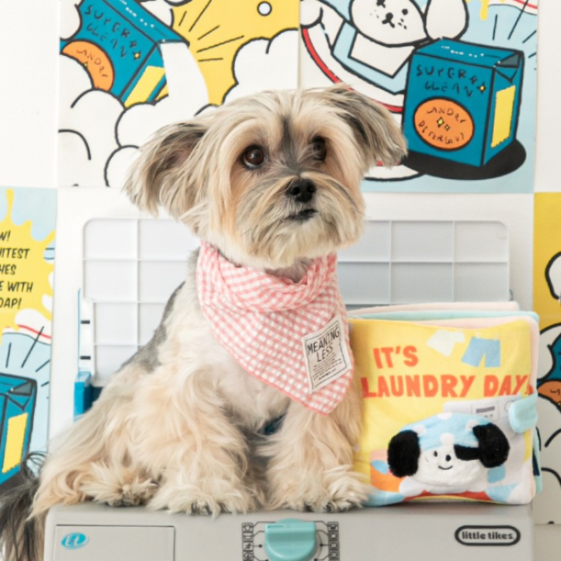 LAUNDRY DAY NOSEWORK BOOK