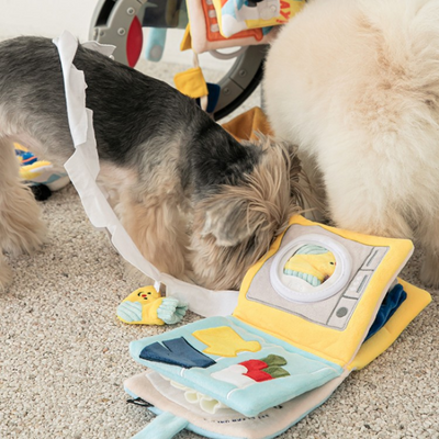 LAUNDRY DAY NOSEWORK BOOK