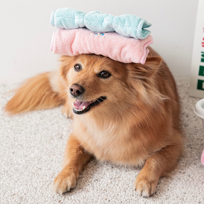 FLUFFY TOWEL TOY