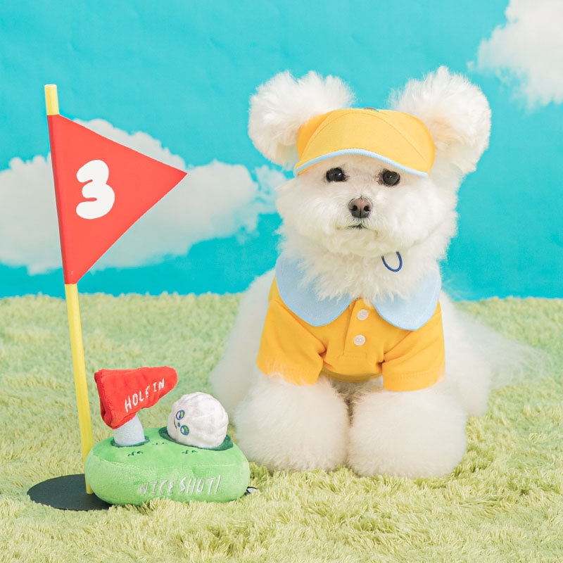 LET'S PLAY GOLF