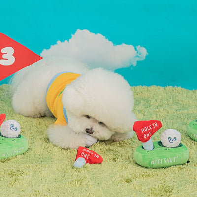 LET'S PLAY GOLF