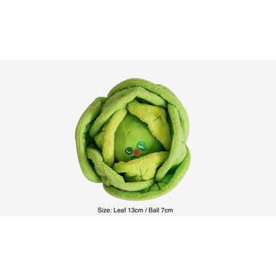 CABBAGE